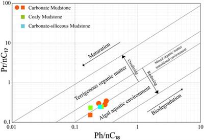 Geochemical characteristics of shale gas formation and the potential for carbon storage in Thailand: An example from the Triassic Huai Hin Lat Formation